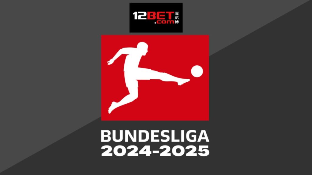 Bundesliga 2024-2025